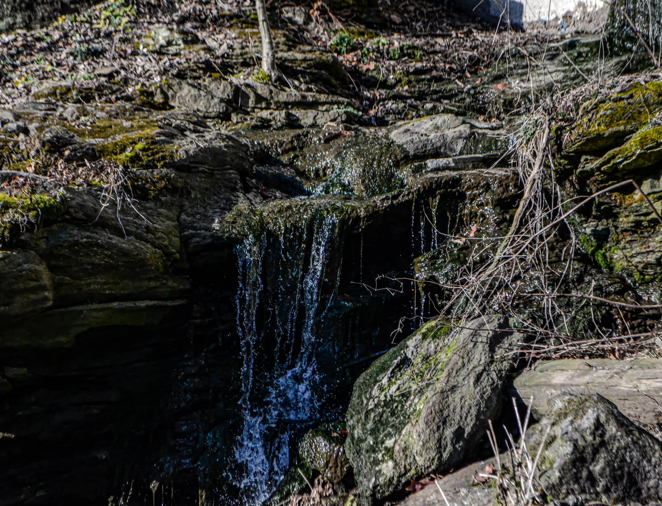 Photography photography