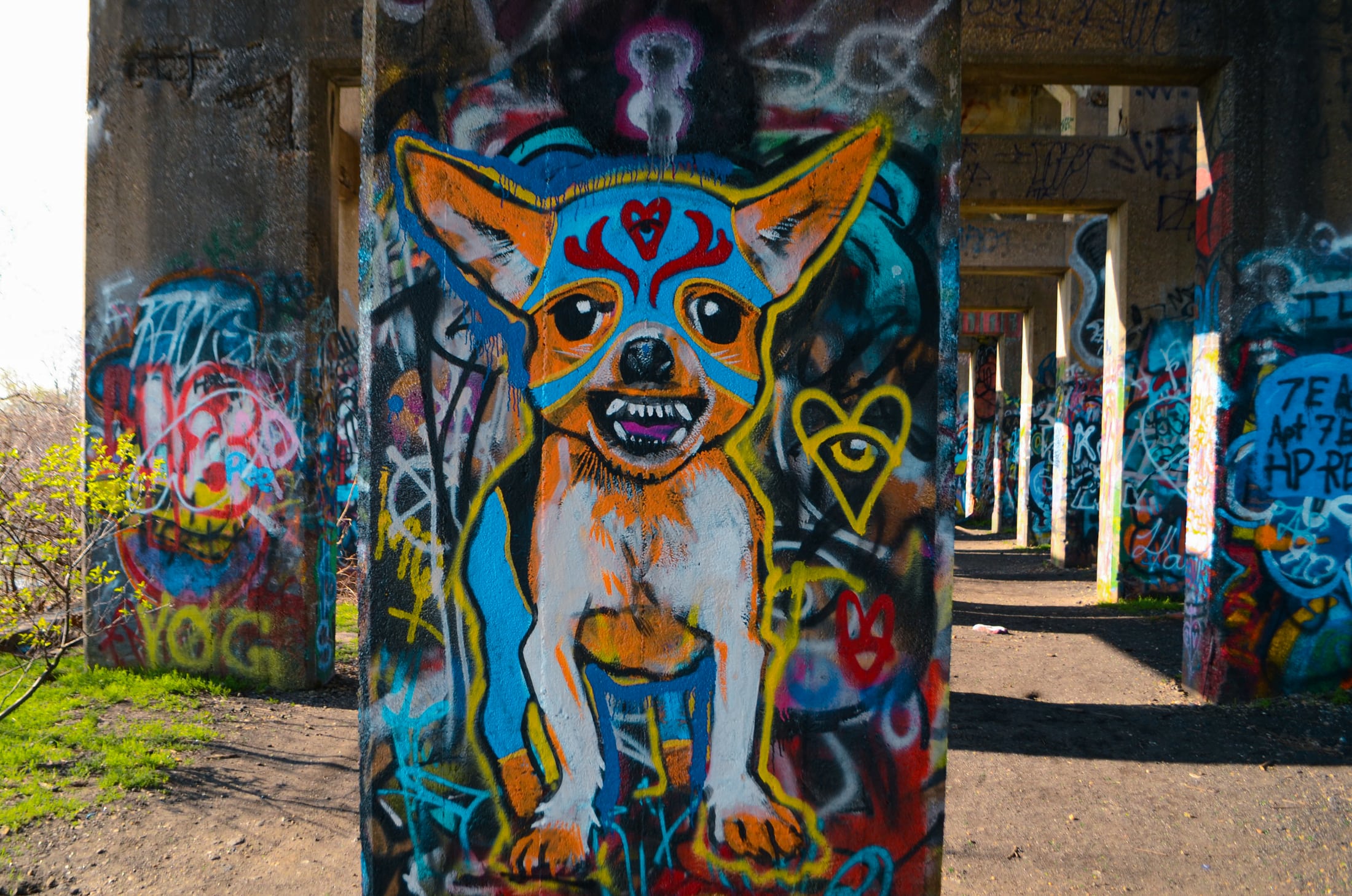 Photography photography