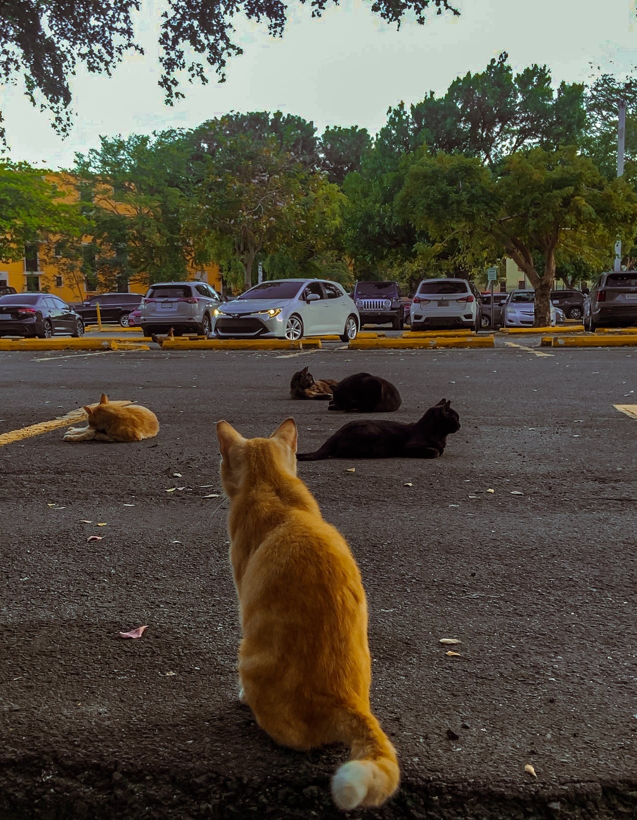 Photography photography